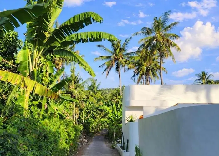 Casa De Banana At